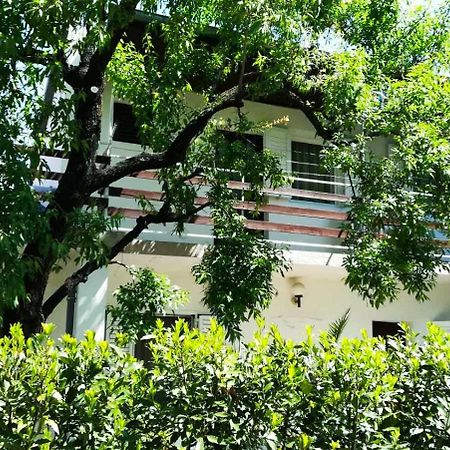 Felix Apartment Biograd Biograd Na Moru Exterior foto