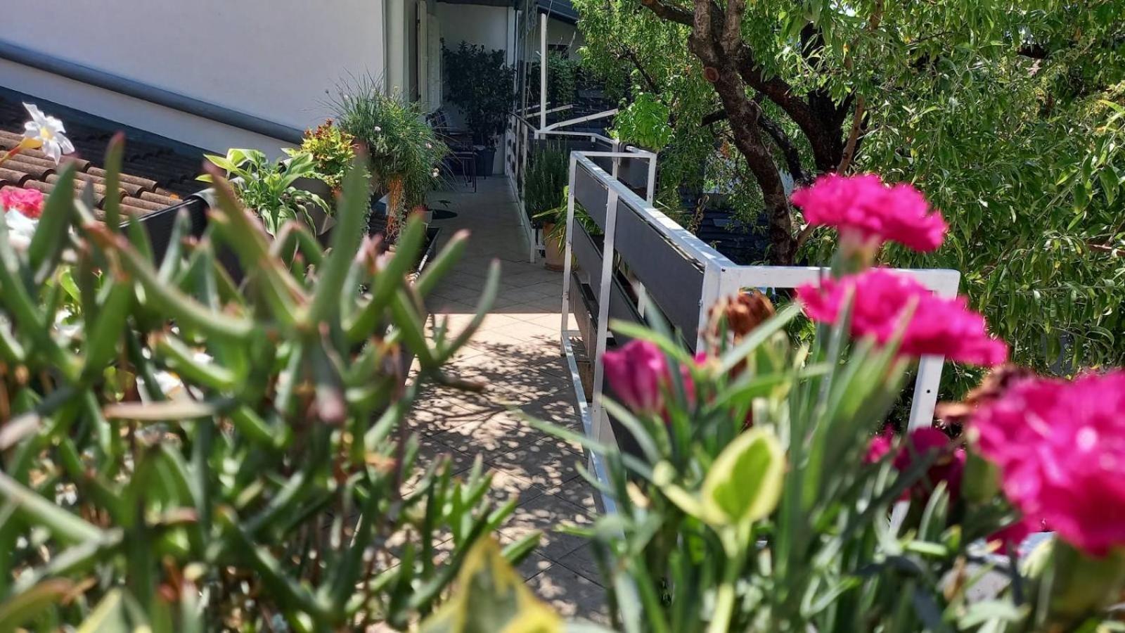 Felix Apartment Biograd Biograd Na Moru Exterior foto